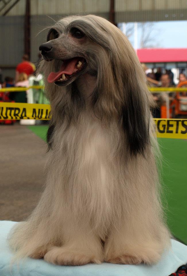 536835_3554090408578_1162218606_32953978_666783643_n