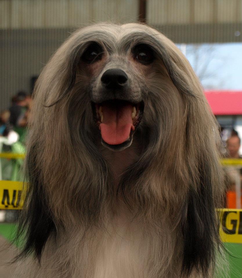 403545_3554092088620_1162218606_32953979_692213139_n