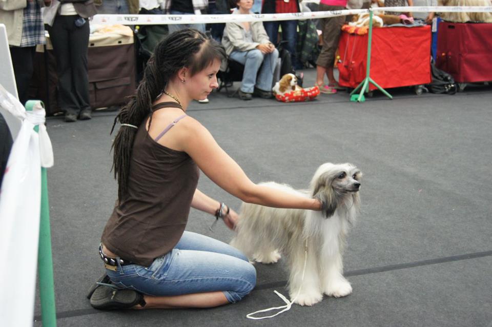 391490_3531871897194_840807729_n