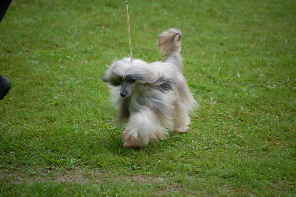 944101_609573862388171_1879782988_n