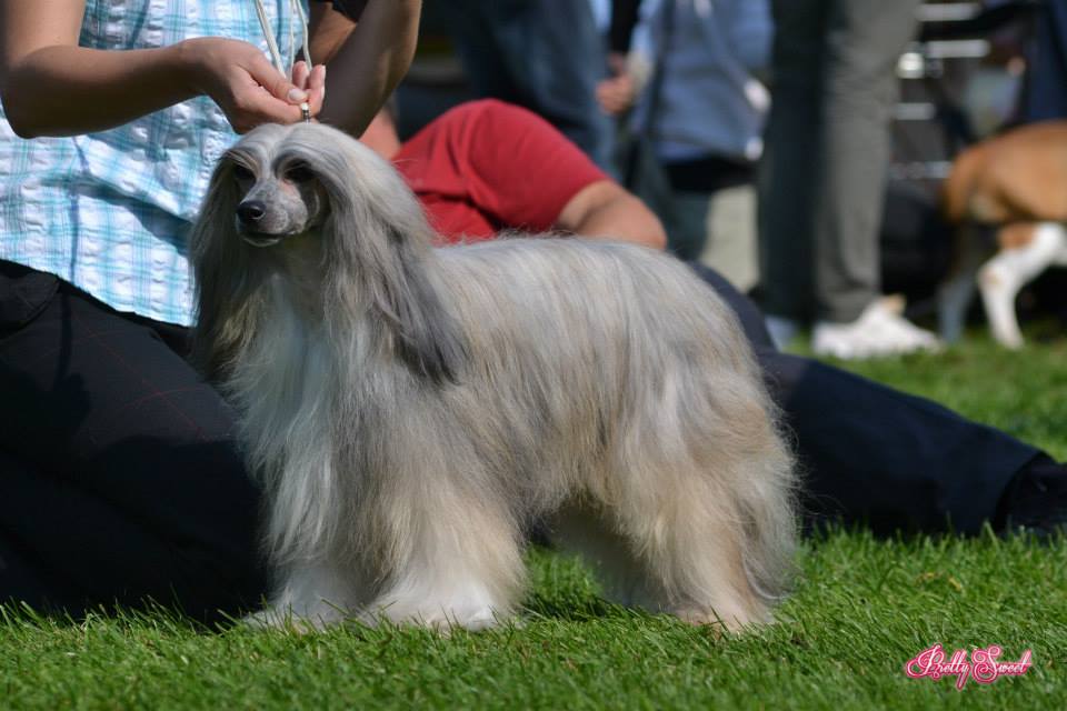 66794_10200574806200193_1129379812_n