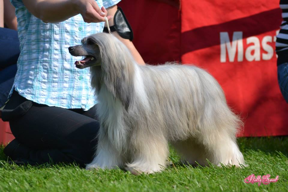 998466_10200574813240369_1779433898_n