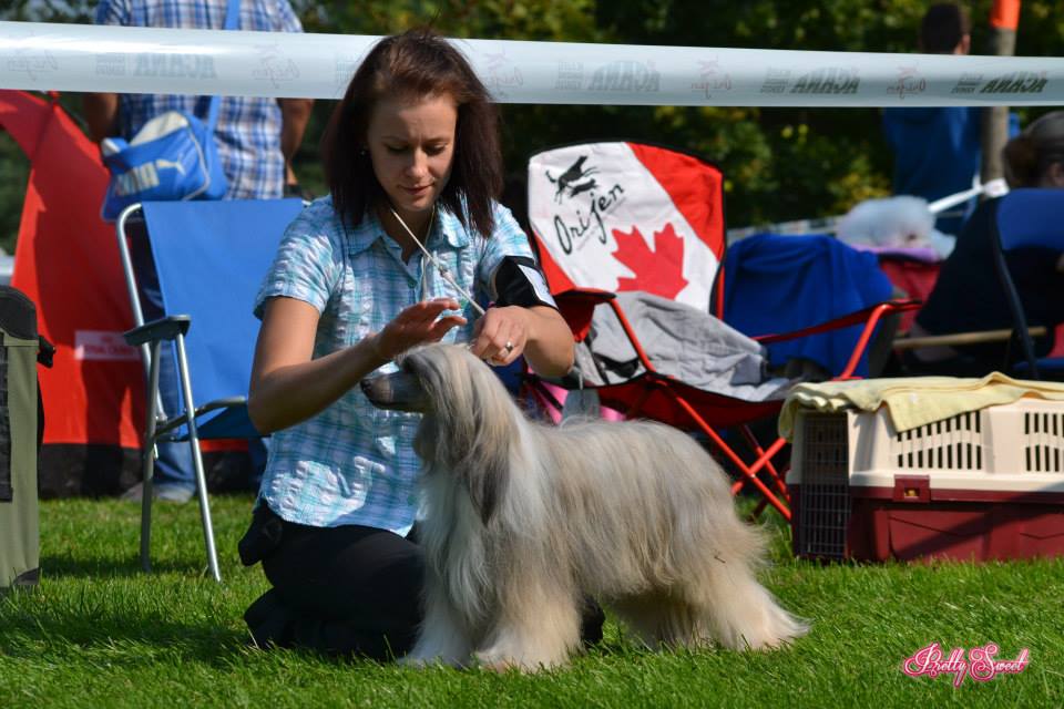 998631_10200574807080215_1593406184_n