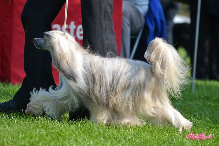 1175642_10200574807000213_1856902743_n