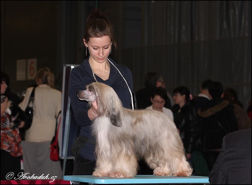 1656049_10202256423109741_1751413637_n