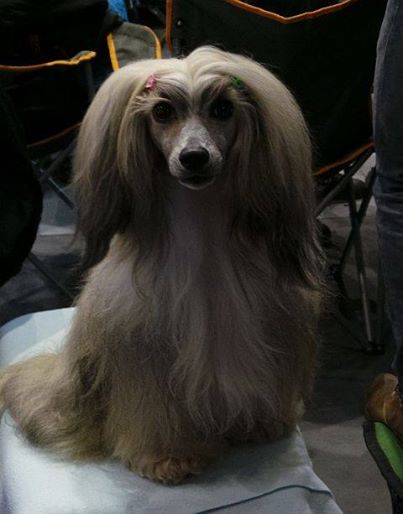 1896833_707677565951840_273758309_n