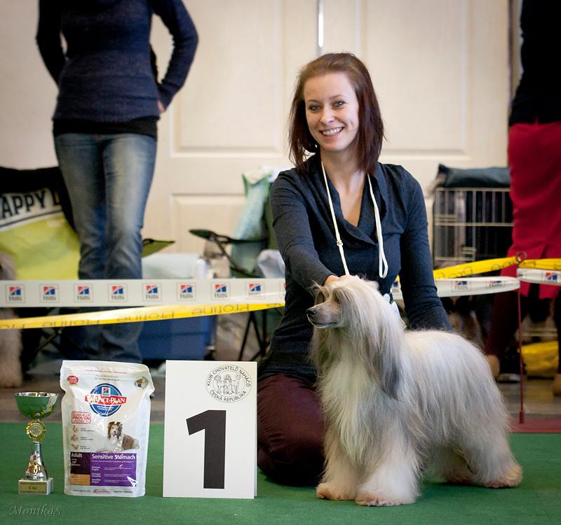 1238272_613807735344656_1680487179_n