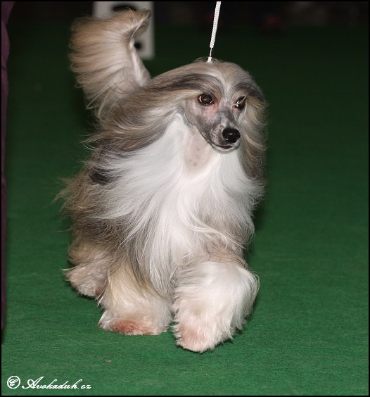 1379926_10201305611220038_334584336_n