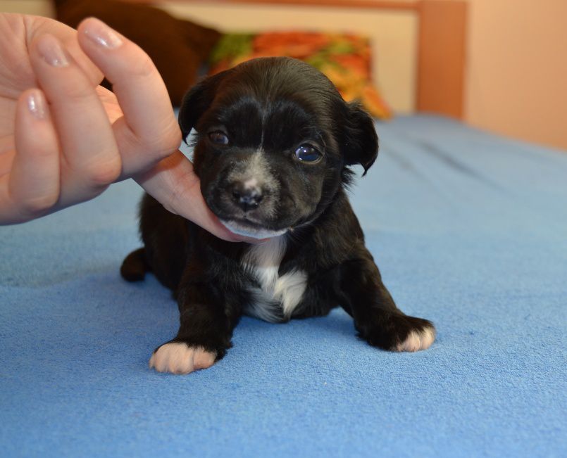 260fb54d447fc51a4c07b63b08e39c5c