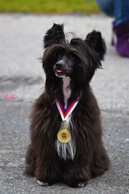 IMG_1011082776924167