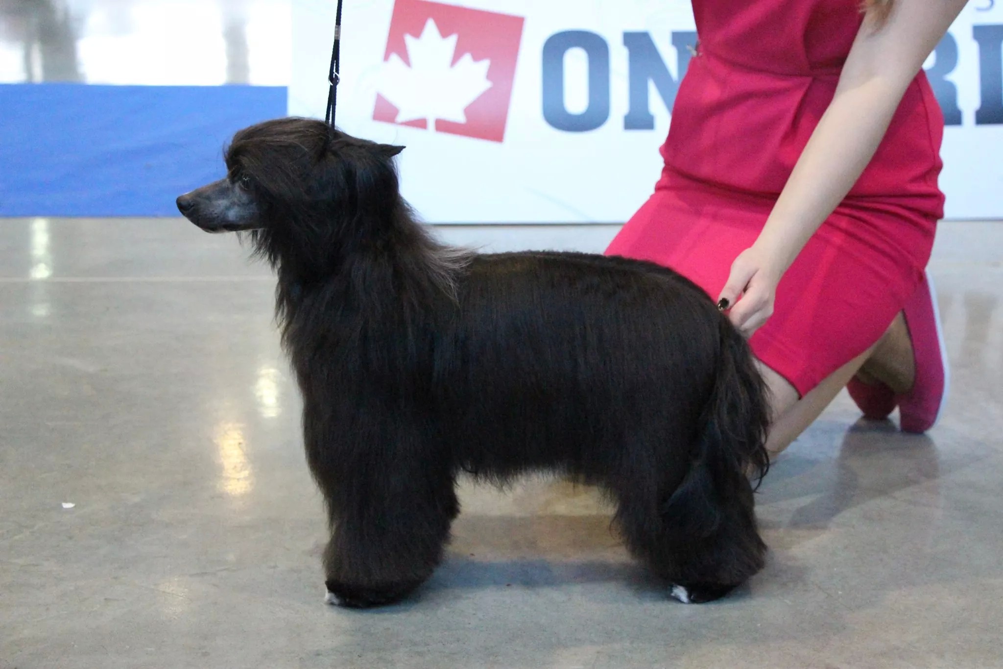 received_896829583684150