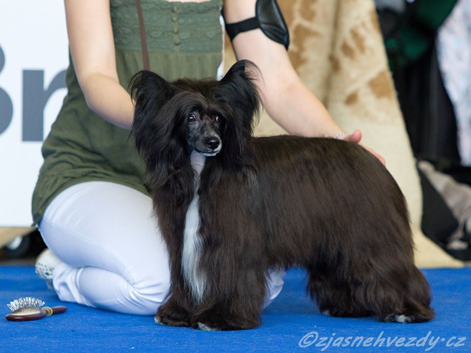 11074132_10204008514988796_3152573447337821928_n