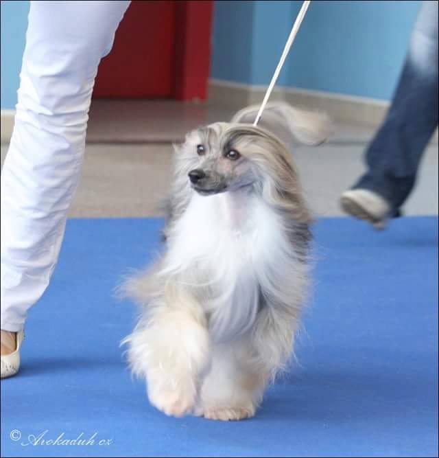 11149506_10206633864596047_2701834377159494366_n