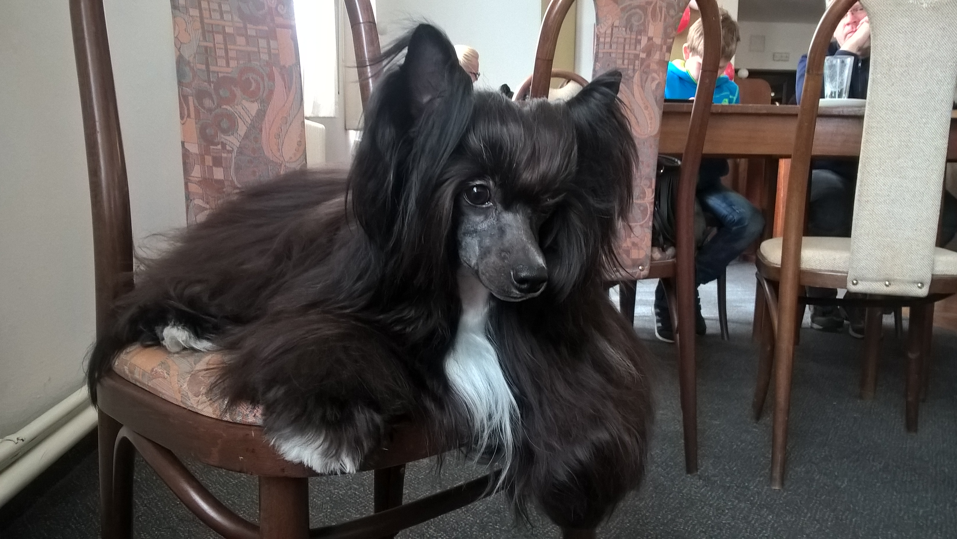 WP_20150621_10_34_03_Pro