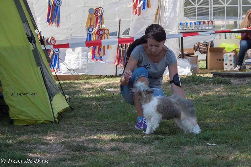 11960020_1050818714930348_8308419173033465180_n