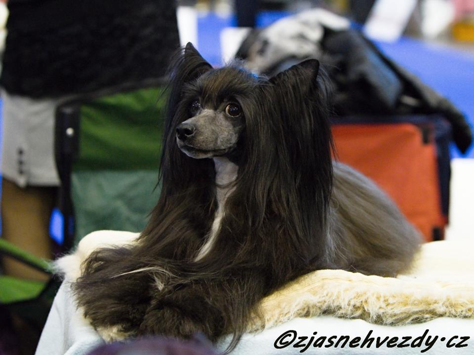 12742498_10205860996339672_574316647860720931_n